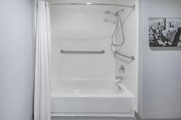 Oda, 1 Çift Kişilik Yatak, Engellilere Uygun, Sigara İçilmez (Mobility, Roll-In Shower)