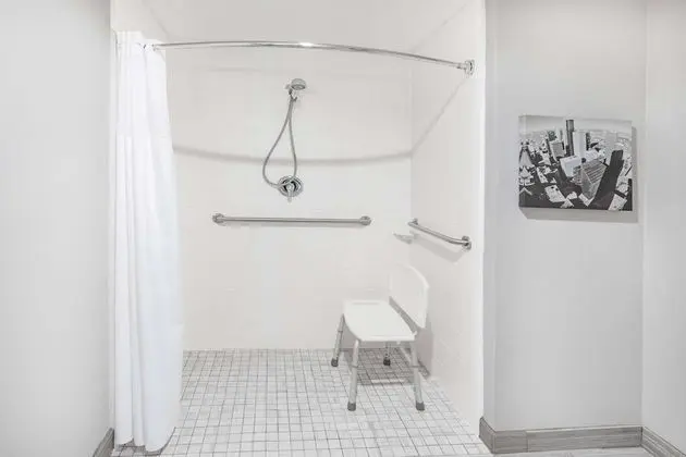 Oda, 1 Çift Kişilik Yatak, Engellilere Uygun, Sigara İçilmez (Mobility, Roll-In Shower)
