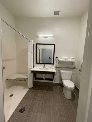Oda, 1 En Büyük (King) Boy Yatak, Engellilere Uygun, Sigara İçilmez (Roll-In Shower)