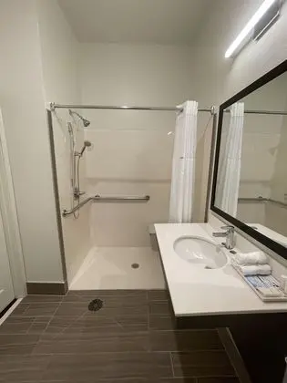 Oda, 1 En Büyük (King) Boy Yatak, Engellilere Uygun, Sigara İçilmez (Roll-In Shower)