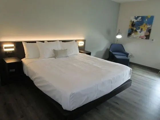 Standard Oda, 1 En Büyük (King) Boy Yatak, Sigara İçilmez, Buzdolabı ve Mikrodalga