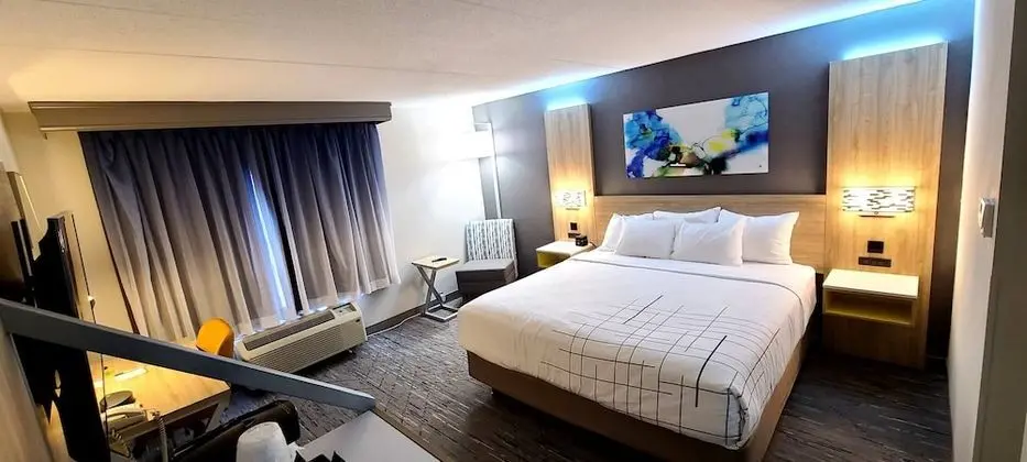 Oda, 1 En Büyük (King) Boy Yatak, Engellilere Uygun, Sigara İçilmez (Mobility Accessible)