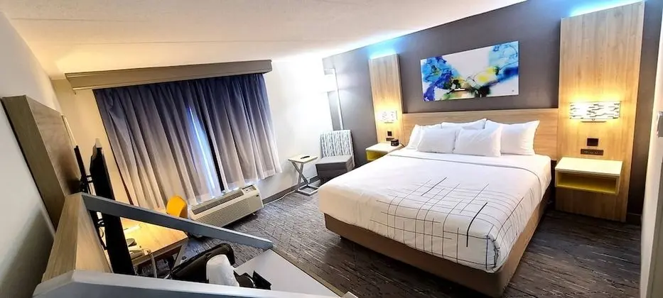 Oda, 1 En Büyük (King) Boy Yatak, Engellilere Uygun, Sigara İçilmez (Mobility Accessible)