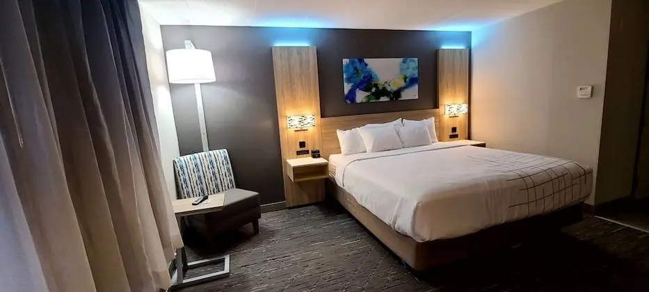 Oda, 1 En Büyük (King) Boy Yatak, Engellilere Uygun, Sigara İçilmez (Mobility Accessible)