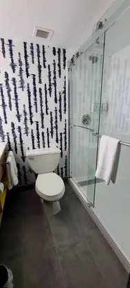 Oda, 1 En Büyük (King) Boy Yatak, Engellilere Uygun, Sigara İçilmez (Mobility Accessible)