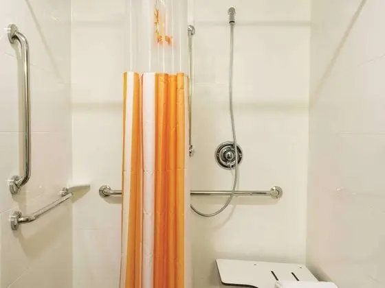 Deluxe Süit, 1 En Büyük (King) Boy Yatak, Engellilere Uygun, Sigara İçilmez (Mobility Accessible)