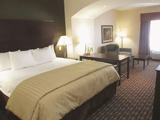 Deluxe Oda, 1 En Büyük (King) Boy Yatak, Sigara İçilmez (Deluxe Executive Room)