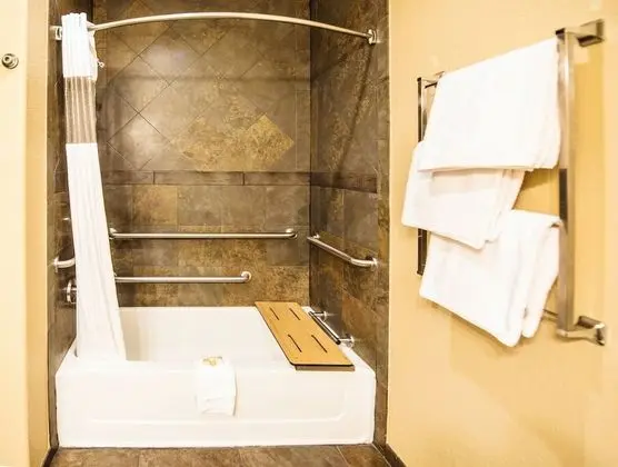 Executive Süit, 1 En Büyük (King) Boy Yatak, Sigara İçilmez (Lake View, Patio, Tub with Grab Bars)