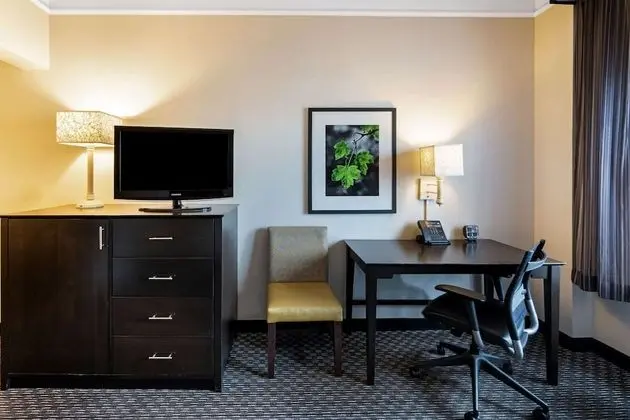 Süit, 1 Yatak Odası, Sigara İçilmez, Havuz Manzaralı (1King Bed)