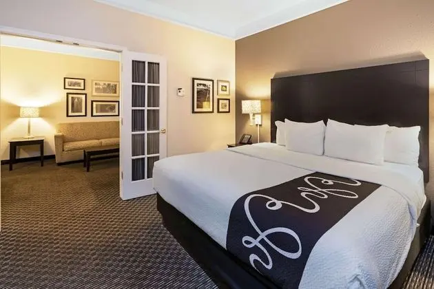 Süit, 1 Yatak Odası, Sigara İçilmez, Havuz Manzaralı (1King Bed)