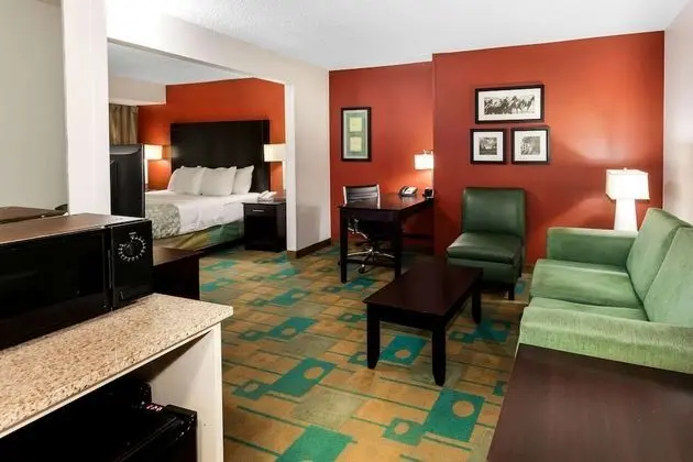 1 Room Suite, 1 King Bed, Non-Smoking, Sofa Sleeper, MW/RF