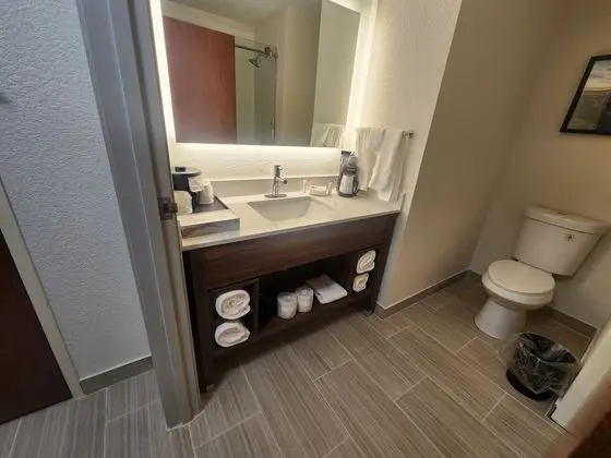 Oda, 1 En Büyük (King) Boy Yatak, Engellilere Uygun (Mobility/Hearing, tub w grab bars)