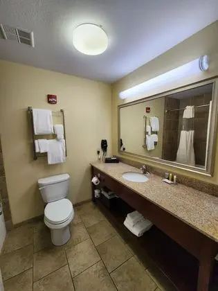 Traditional Tek Kişilik Oda, 1 Yatak Odası, Sigara İçilmez, Buzdolabı ve Mikrodalga