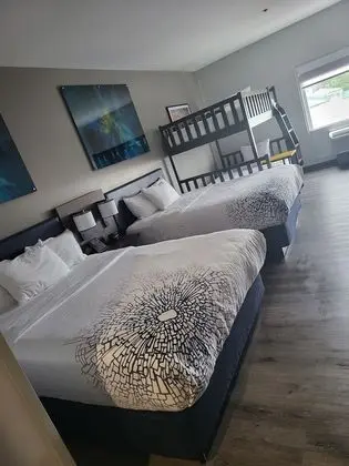 Deluxe Oda, Birden Çok Yatak, Sigara İçilmez