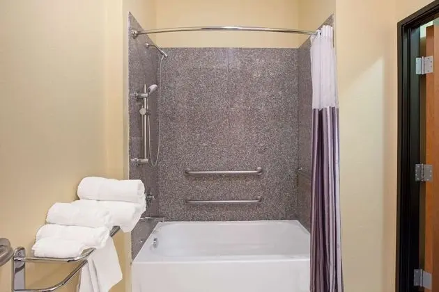 Standard Oda, 2 Büyük (Queen) Boy Yatak, Engellilere Uygun (Hearing Accessible, Grab Bars in Tub)