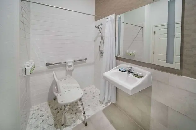 Deluxe Oda, 1 En Büyük (King) Boy Yatak, Engellilere Uygun, Sigara İçilmez (Roll-In Shower)