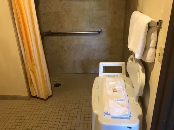 Oda, 1 Çift Kişilik Yatak, Engellilere Uygun, Sigara İçilmez (Mobility/Hearing Impaired Accessible)