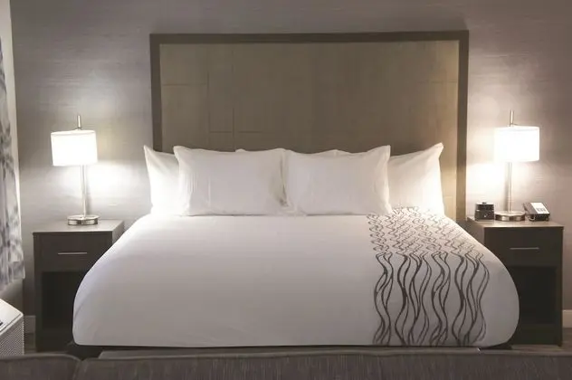 Superior Oda, 1 En Büyük (King) Boy Yatak, Sigara İçilmez (Deluxe Executive Room)