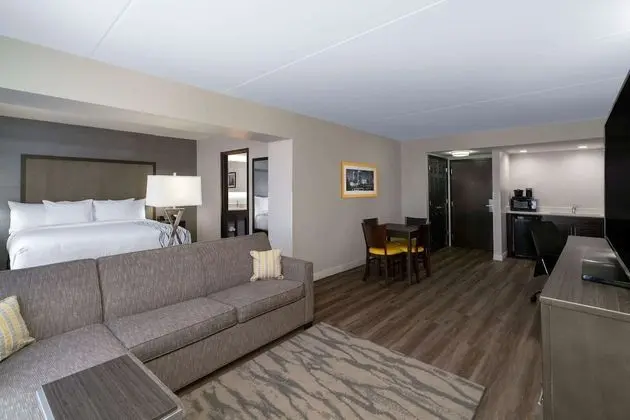 Superior Oda, 1 En Büyük (King) Boy Yatak, Sigara İçilmez (Deluxe Executive Room)