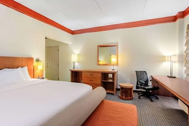 Deluxe Süit, 1 Yatak Odası, Sigara İçilmez (Executive)