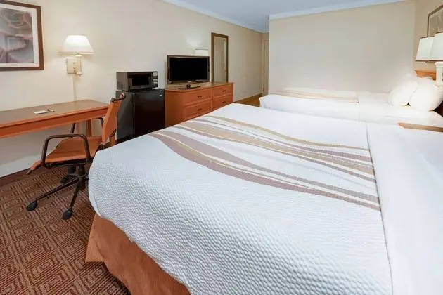 Deluxe Oda, 2 Büyük (Queen) Boy Yatak, Sigara İçilmez (Pet-Friendly)
