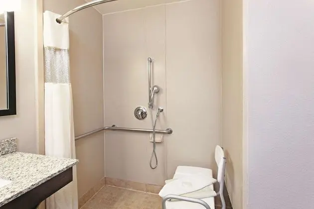 Deluxe Süit, 1 En Büyük (King) Boy Yatak, Engellilere Uygun (Mobility/Hearing, Roll-in shower)
