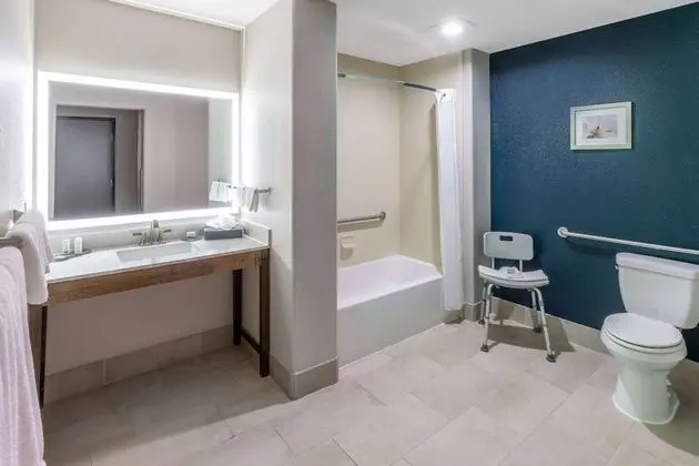 Oda, 1 En Büyük (King) Boy Yatak, Engellilere Uygun, Sigara İçilmez (Mobility, Bathtub w/Grab Bars)