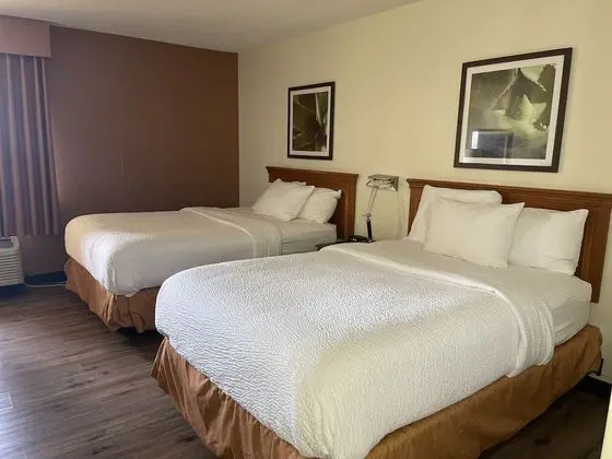 Deluxe Oda, 2 Çift Kişilik Yatak, Sigara İçilmez