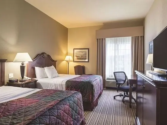 Deluxe Süit, 2 Büyük (Queen) Boy Yatak, Sigara İçilmez (One-Bedroom)