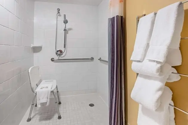 Oda, Engellilere Uygun, Sigara İçilmez (Bathtub)