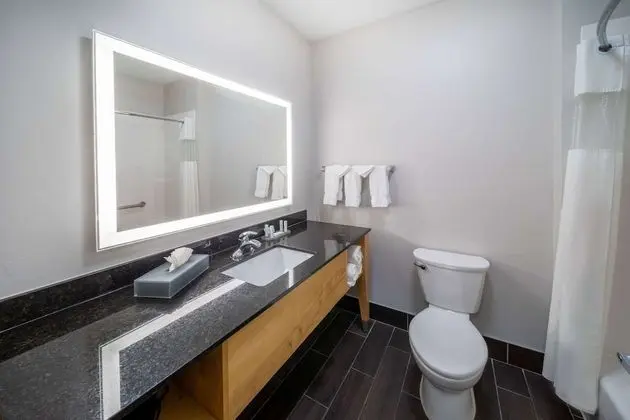 Deluxe Stüdyo Süit, 1 En Büyük (King) Boy Yatak, Sigara İçilmez