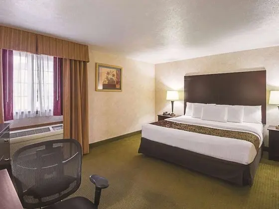 Deluxe Oda, 1 En Büyük (King) Boy Yatak, Sigara İçilmez (Deluxe Executive Room)