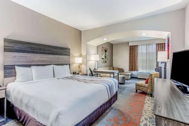Deluxe Oda, 1 En Büyük (King) Boy Yatak, Sigara İçilmez (Deluxe Executive Room)