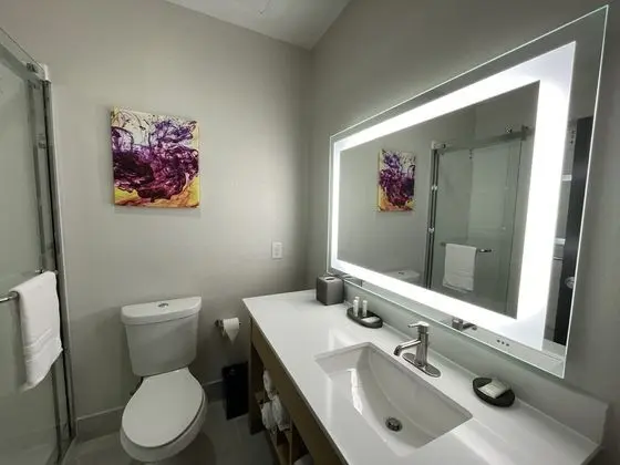Oda, 1 En Büyük (King) Boy Yatak, Engellilere Uygun, Sigara İçilmez (Studio Room, Roll-in Shower)