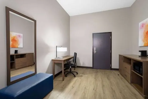 Oda, 1 En Büyük (King) Boy Yatak, Sigara İçilmez (Efficiency Room)