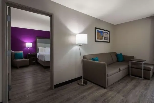 Süit, 1 En Büyük (King) Boy Yatak, Sigara İçilmez (1 King Bed)