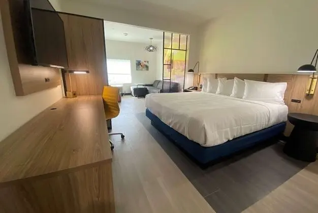 Süit, 1 En Büyük (King) Boy Yatak, Engellilere Uygun, Sigara İçilmez