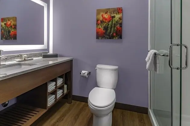 Oda, 1 En Büyük (King) Boy Yatak, Engellilere Uygun, Sigara İçilmez (Mobility)