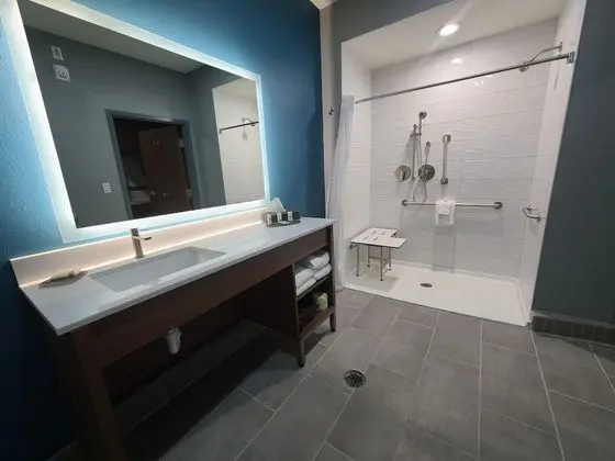 Oda, 1 En Büyük (King) Boy Yatak, Engellilere Uygun, Sigara İçilmez (Efficiency,  Roll-In-Shower)