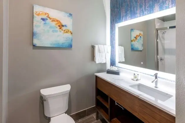 Oda, 1 En Büyük (King) Boy Yatak, Engellilere Uygun (Mobility/Hearing, Tub w/Grab Bars)