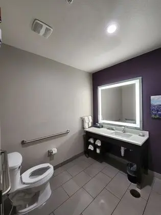 Oda, 1 En Büyük (King) Boy Yatak, Engellilere Uygun (Mobility/Hearing, Roll-In Shower)