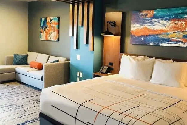 Comfort Tek Büyük Yataklı Oda, 1 En Büyük (King) Boy Yatak, Engellilere Uygun (Mobility)