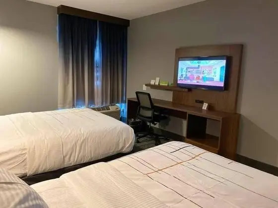 Comfort Tek Büyük Yataklı Oda, 2 Büyük (Queen) Boy Yatak, Engellilere Uygun (Mobility)