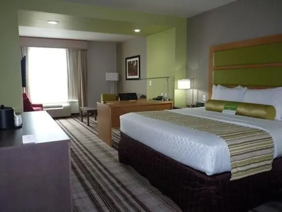 Deluxe Süit, 1 En Büyük (King) Boy Yatak ve Çekyat (Deluxe Executive Suite)