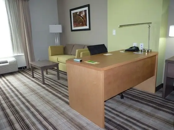 Deluxe Süit, 1 En Büyük (King) Boy Yatak ve Çekyat (Deluxe Executive Suite)