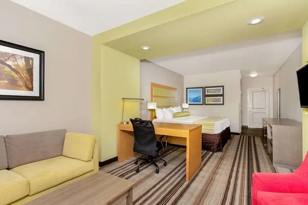 Deluxe Süit, 1 En Büyük (King) Boy Yatak ve Çekyat (Deluxe Executive Suite)