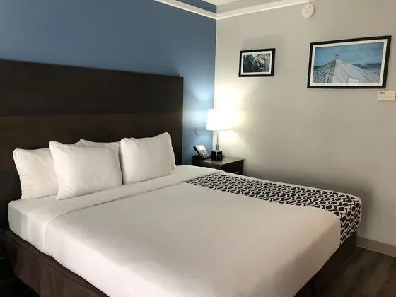 Executive Oda, 1 En Büyük (King) Boy Yatak, Sigara İçilmez