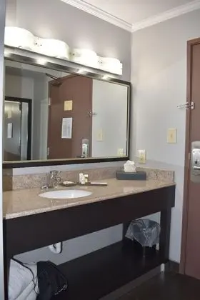 Deluxe Oda, 1 En Büyük (King) Boy Yatak, Sigara İçilmez (Deluxe Executive Room)