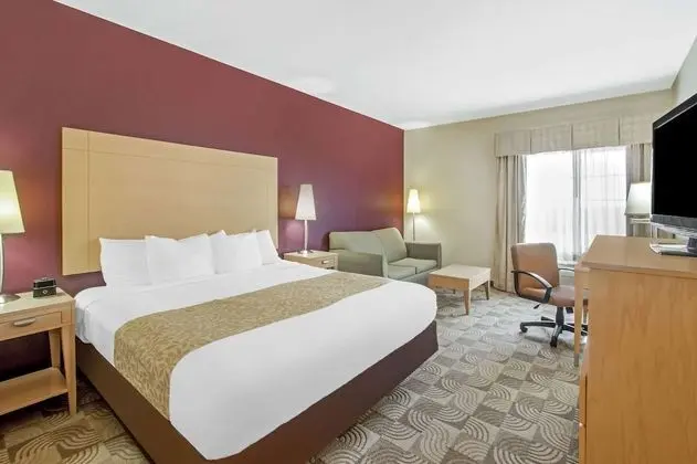 Oda, 1 En Büyük (King) Boy Yatak