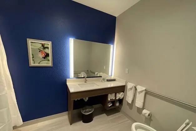 Oda, 1 En Büyük (King) Boy Yatak, Engellilere Uygun, Sigara İçilebilir (Bathtub w/ Grab Bars)